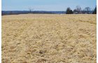 Property photo 51 - REAL ESTATE & FARM EQUIPMENT AUCTION IN ALLEN COUNTY, INDIANA